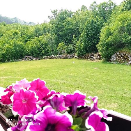 Vikendica Njegusi Villa เซทินเจ ภายนอก รูปภาพ
