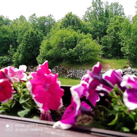 Vikendica Njegusi Villa เซทินเจ ภายนอก รูปภาพ