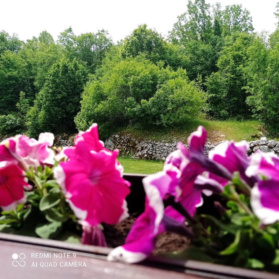 Vikendica Njegusi Villa เซทินเจ ภายนอก รูปภาพ