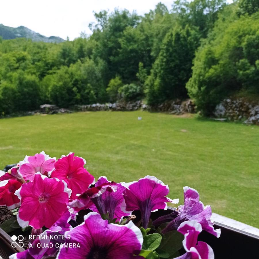 Vikendica Njegusi Villa เซทินเจ ภายนอก รูปภาพ
